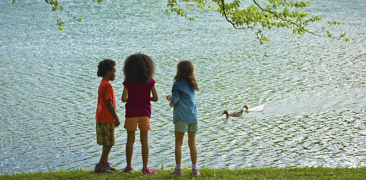 Duck Feeding at James H. Floyd