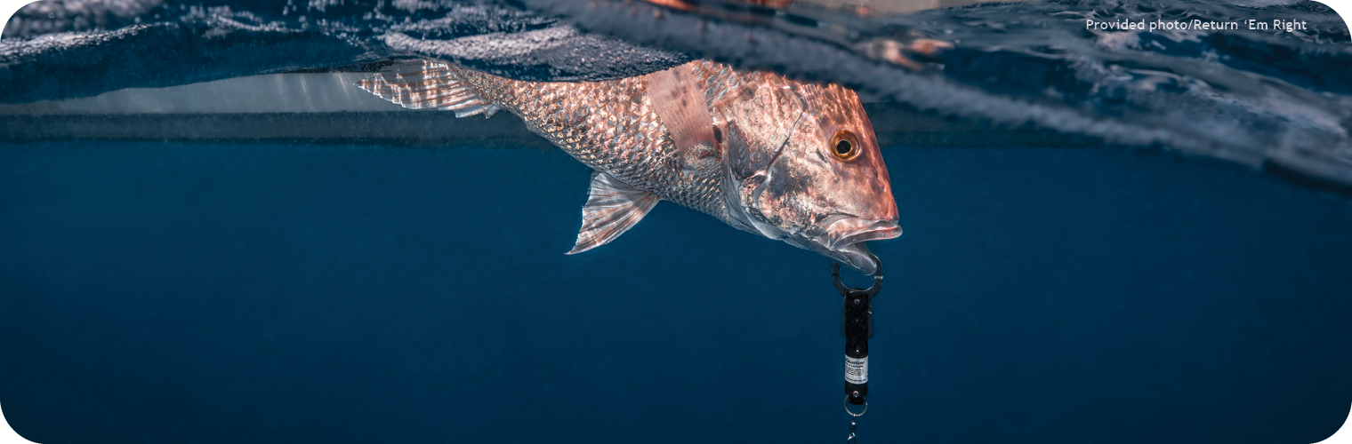 Best Fishing Practices