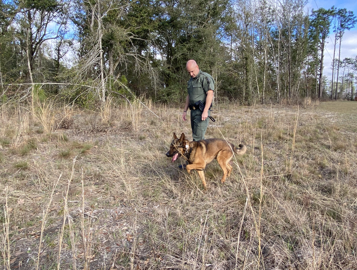 K-9 and handler walk through a field.