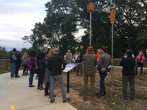 Bat Week Walk