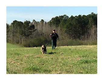 K-9 and handler tracking