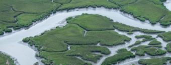 Coastal Incentive Grants